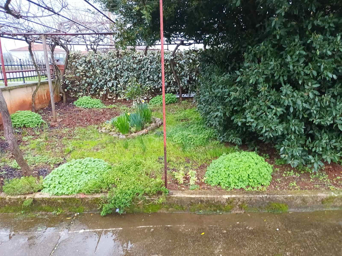 Nelle vicinanze di Pola è in vendita una casa indipendente di 140 m2. Si compone di un piano terra e un piano. Ha un ampio giardino.