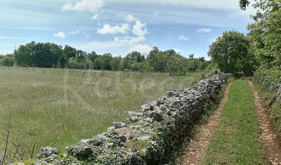 Terreno agricolo, 9000 m2, vicino a Barban