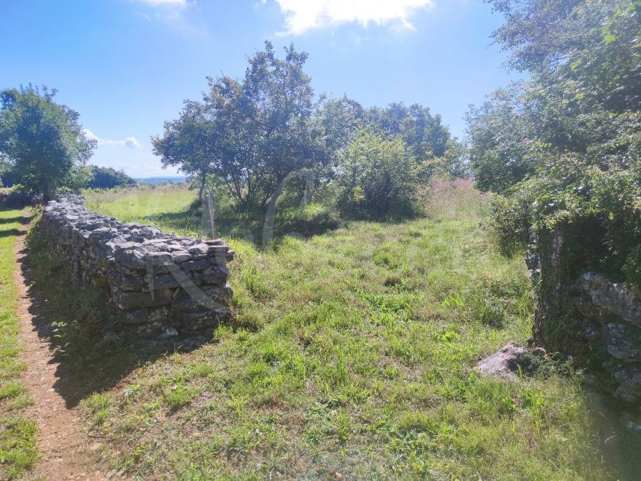 Terreno agricolo, 9000 m2, vicino a Barban