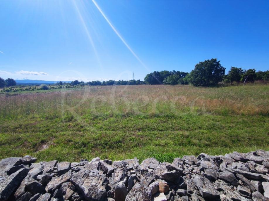 Terreno agricolo, 9000 m2, vicino a Barban