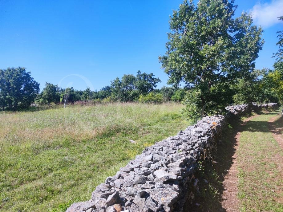 Terreno agricolo, 9000 m2, vicino a Barban