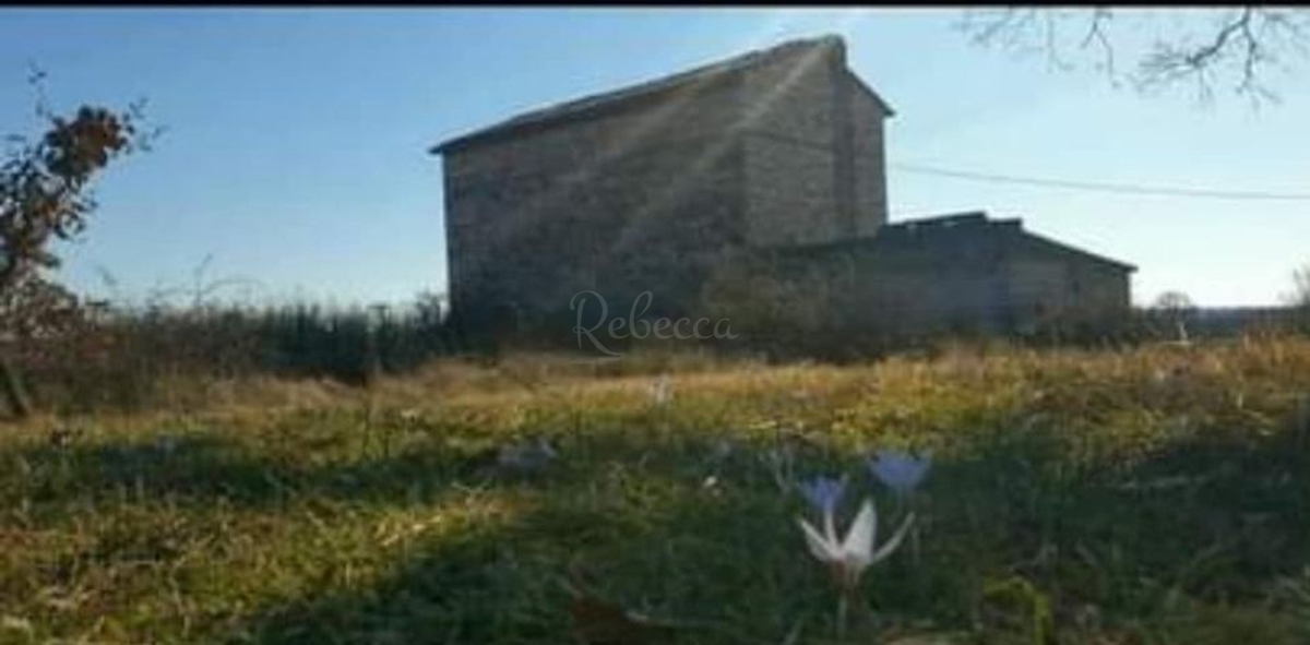 Stancija istriana, Marčana