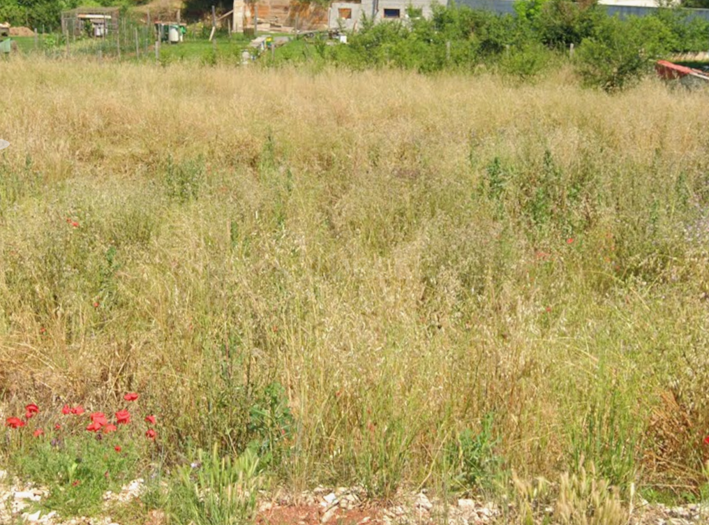 Terreno edificabile, permesso, progetto, contributi pagati, Loborika