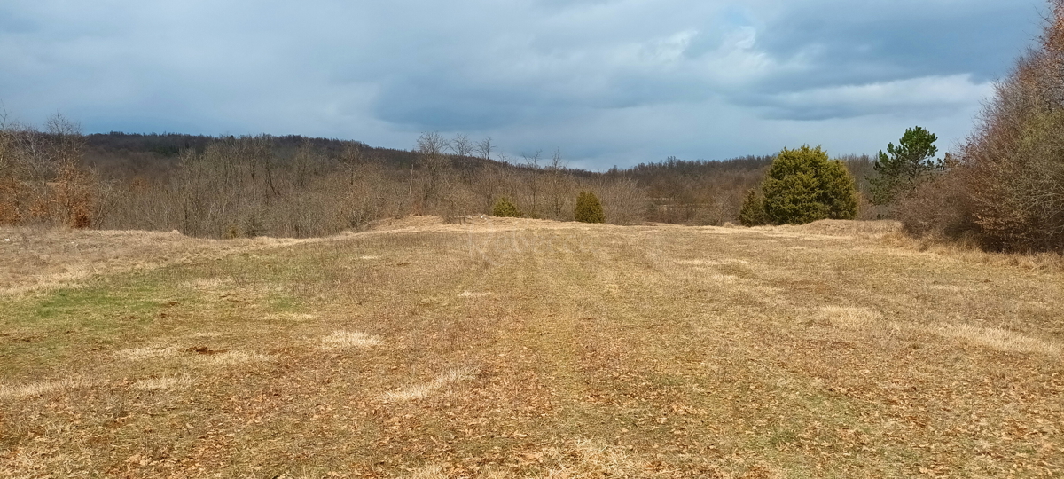 ŽMINJ: TERRENO AGRICOLO 18800 m2