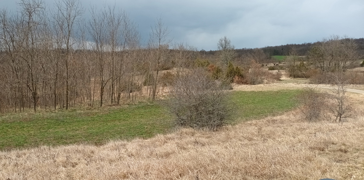 ŽMINJ: TERRENO AGRICOLO 18800 m2