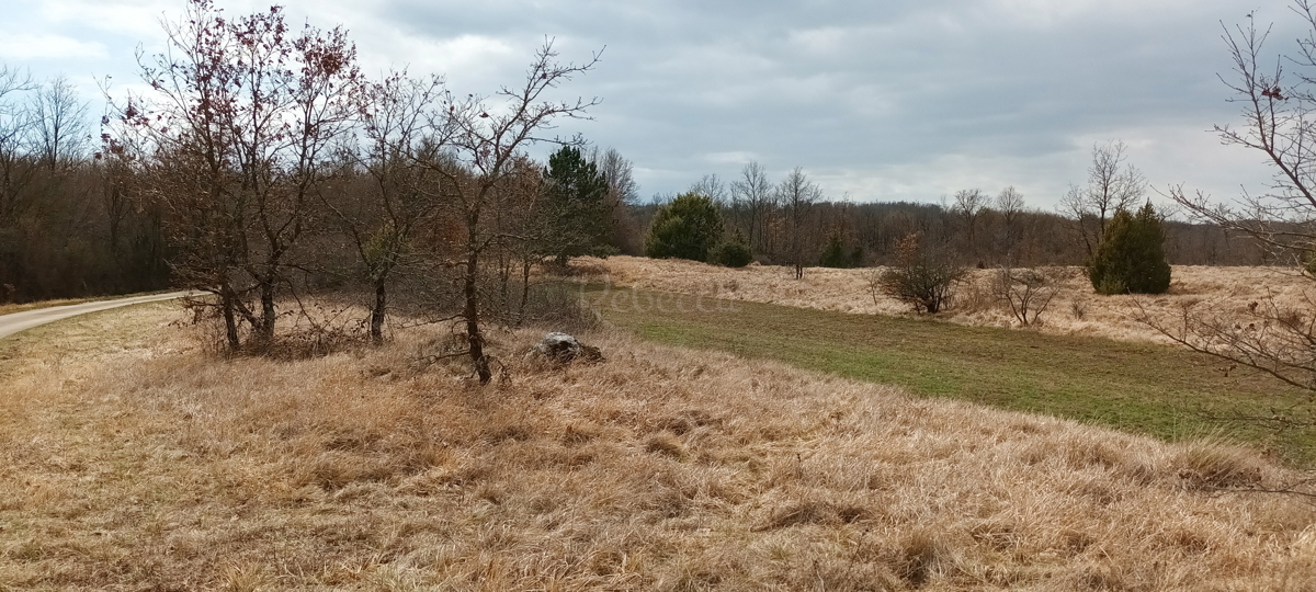 ŽMINJ: TERRENO AGRICOLO 18800 m2