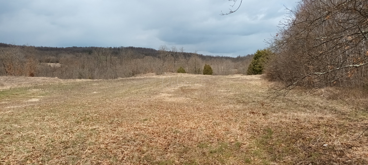 ŽMINJ: TERRENO AGRICOLO 18800 m2