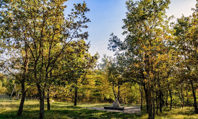 DINTORNI DI PAZIN: GRANDE TERRENO AGRICOLO