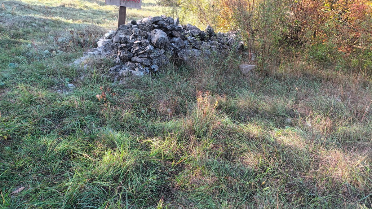 DINTORNI DI PAZIN: GRANDE TERRENO AGRICOLO