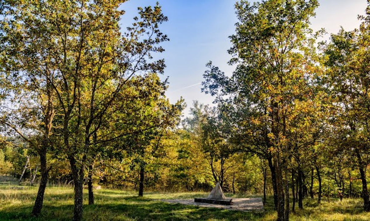 DINTORNI DI PAZIN: GRANDE TERRENO AGRICOLO