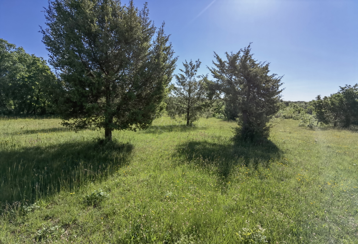 Juršići (Cirka) edificabile e terreno agricolo 33099m2