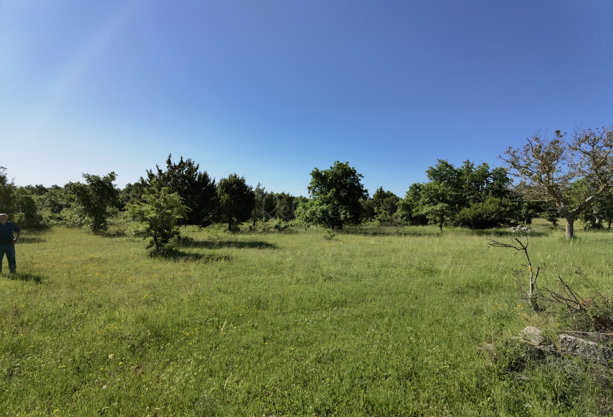 Juršići (Cirka) edificabile e terreno agricolo 33099m2