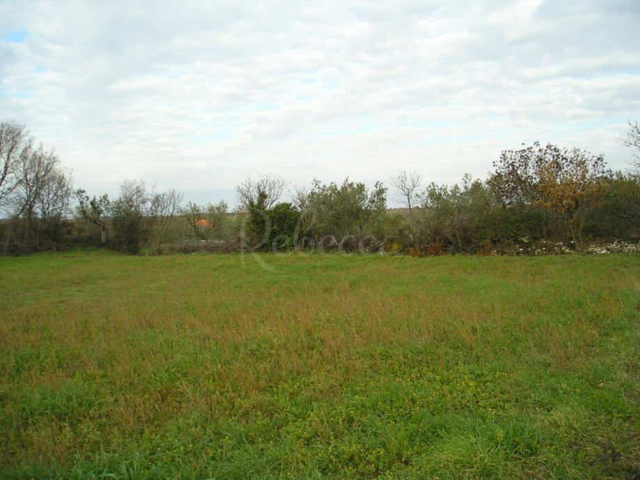 Terreno agricolo, 2940 m2, Peroj