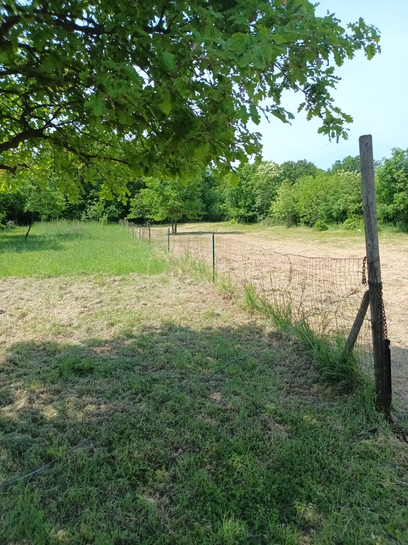 Agricolo, 968 m2, Loborika