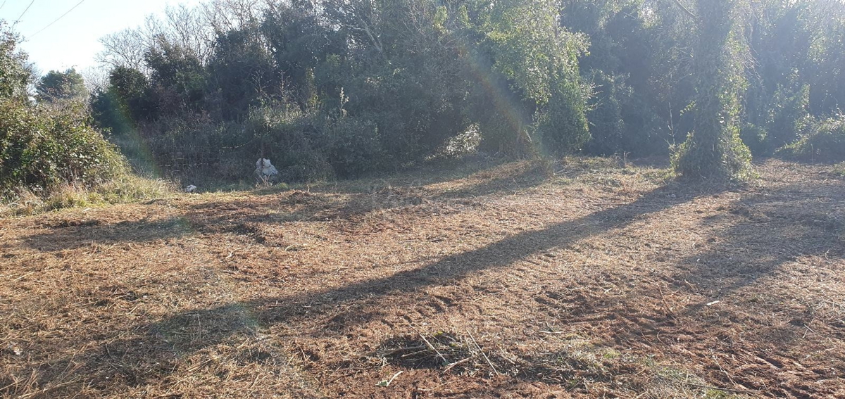 Terreno agricolo, 2744 m2, Medolino