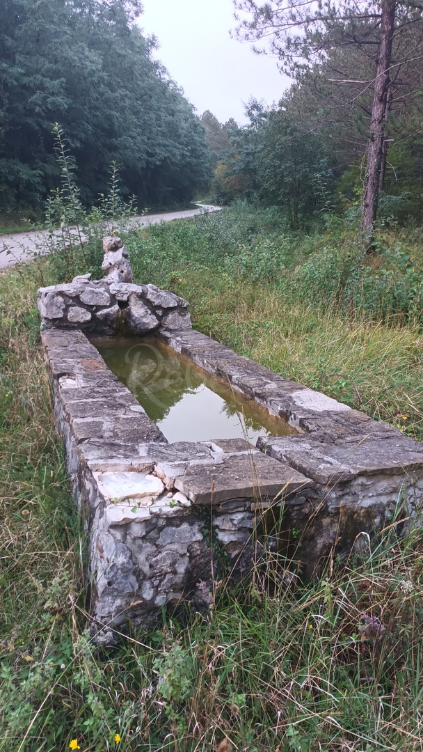 Ampio terreno agricolo a Roč