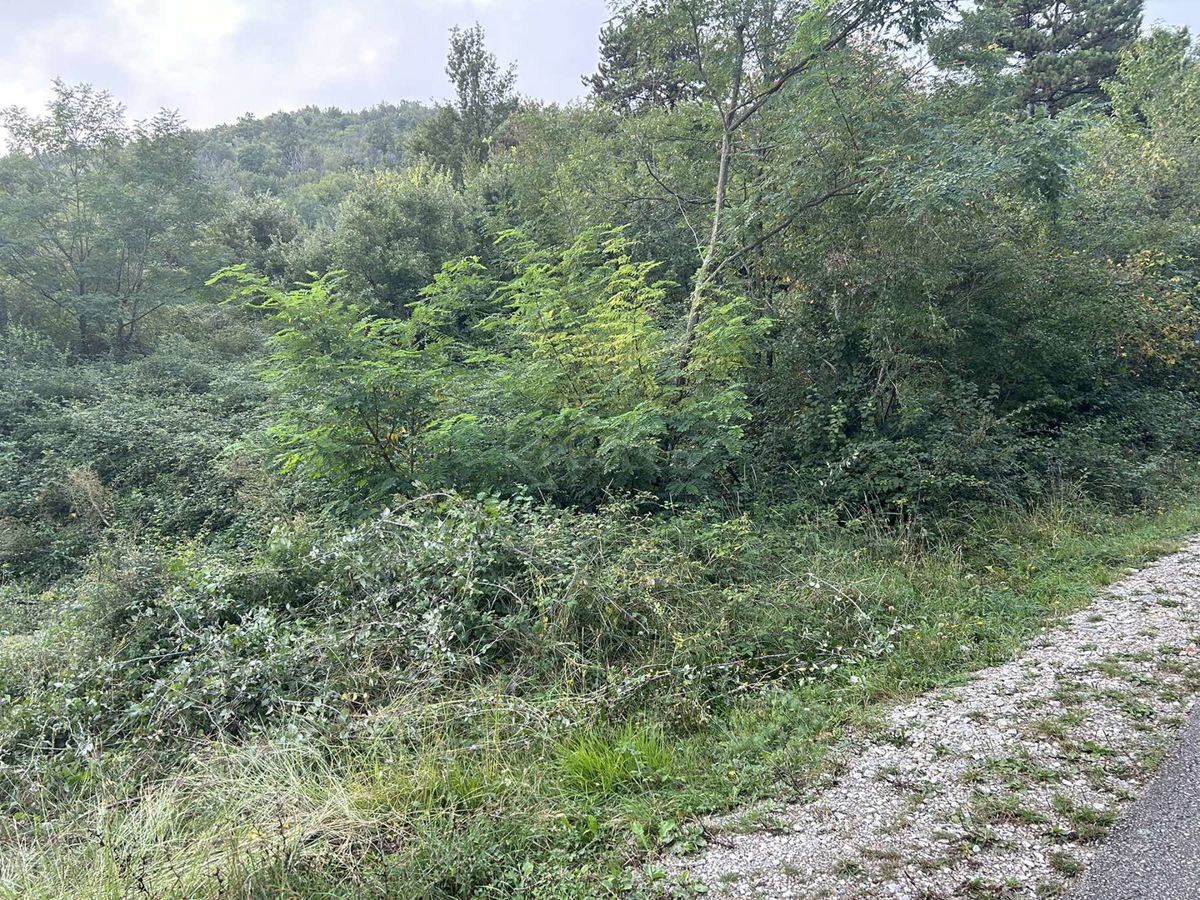 Ampio terreno agricolo a Roč