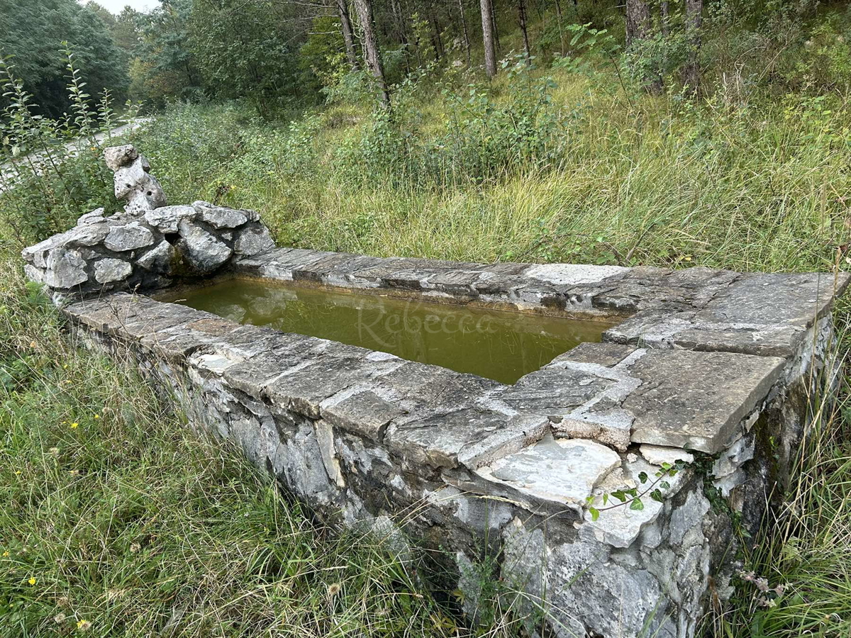 Ampio terreno agricolo a Roč