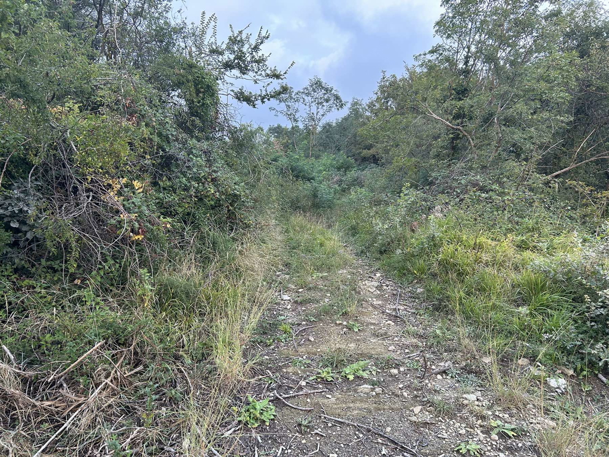 Ampio terreno agricolo a Roč