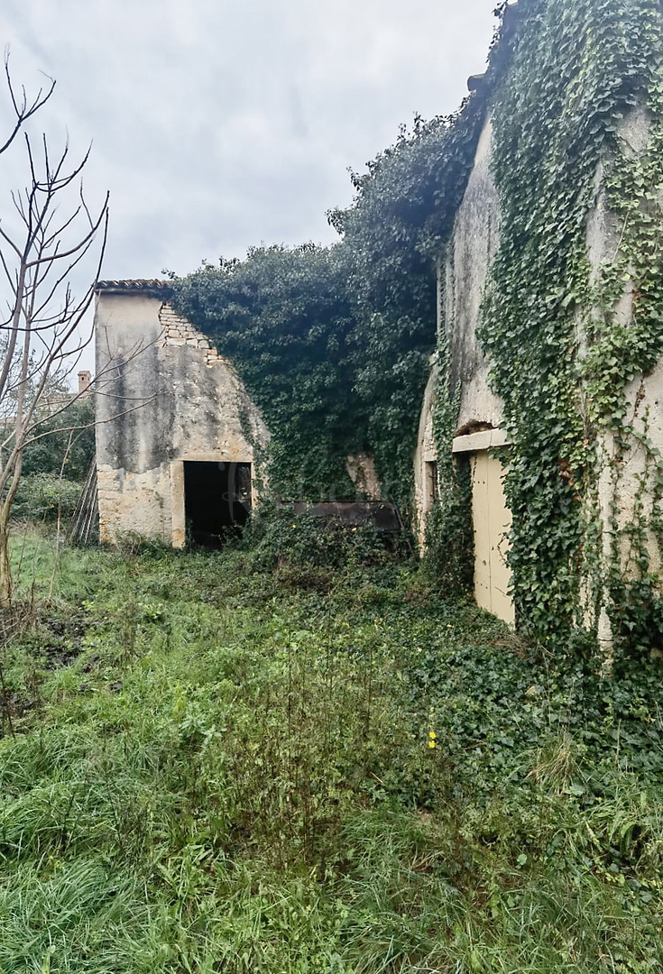 Istria, Šišan, casa in pietra da adattare