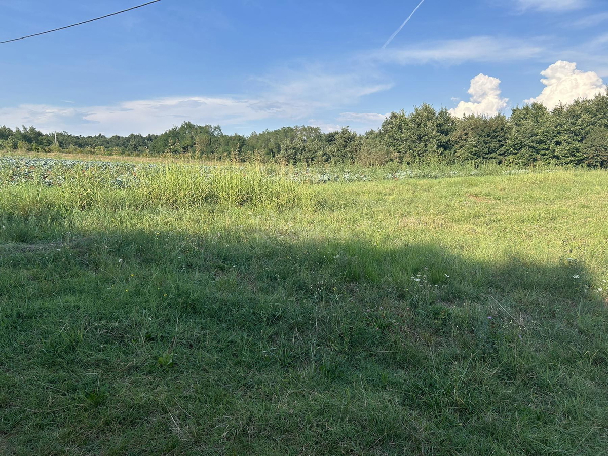 Pisino, vendita, terreno edificabile-agricolo