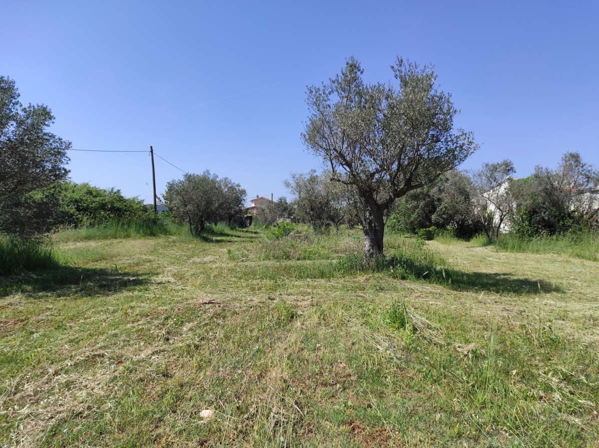 CROAZIA, ISTRIA, FAŽANA: FABBRICATO LEGALIZZATO 66 m2, TERRENO 3180 m2, OTTIMA POSIZIONE