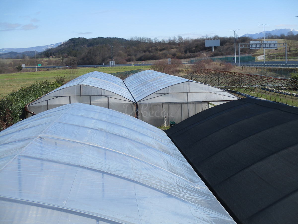 Pisino: Grande terreno agricolo con serre, 9555 m2