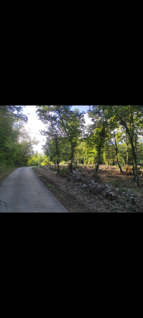 Terreno con permesso di costruire e progetto concettuale su 1446 m2 di costruzione e 250 m2 di terreno agricolo