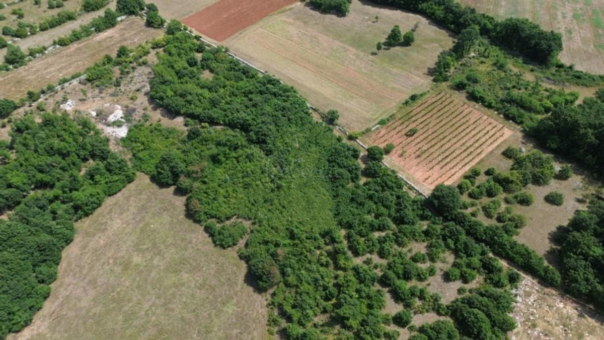 Grande proprietà, 27000 m2, licenza edilizia, Smoljanci