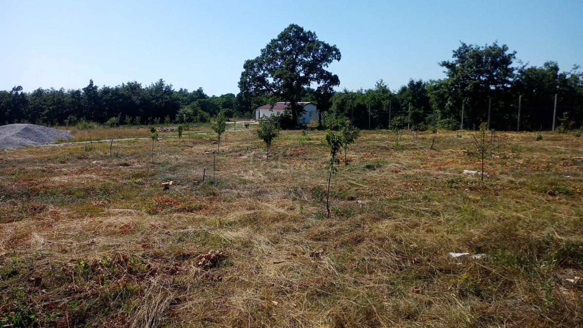 Grande proprietà, 27000 m2, licenza edilizia, Smoljanci