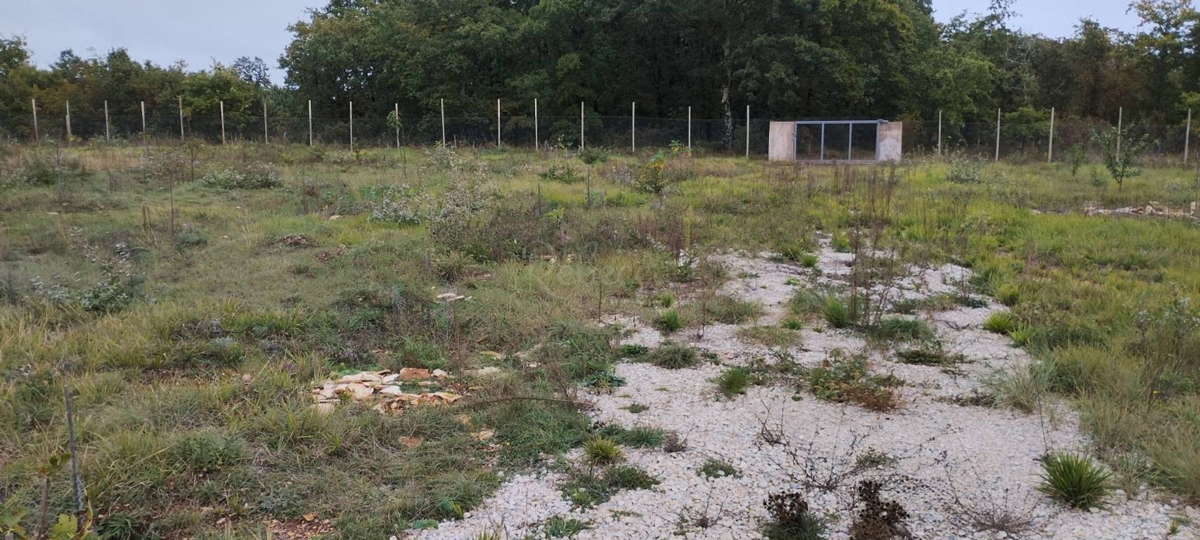 Grande proprietà, 27000 m2, licenza edilizia, Smoljanci