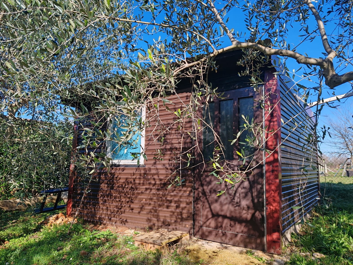 Terreno agricolo 1000 m2 con fabbricato - Valtura