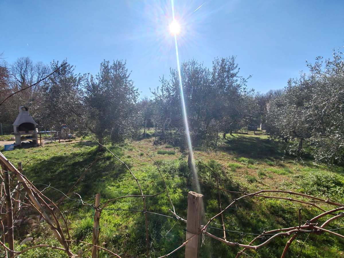 Terreno agricolo 1000 m2 con fabbricato - Valtura