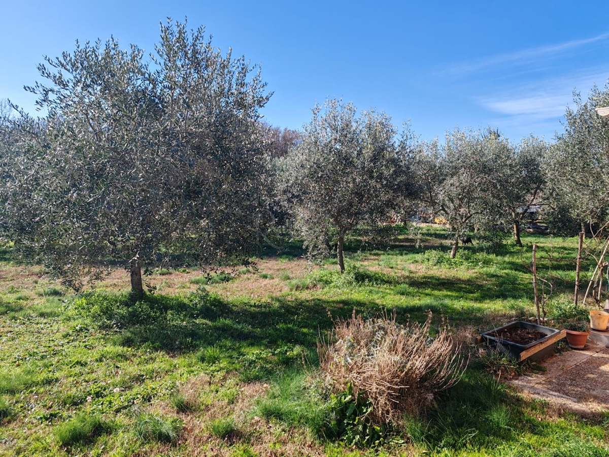 Terreno agricolo 1000 m2 con fabbricato - Valtura