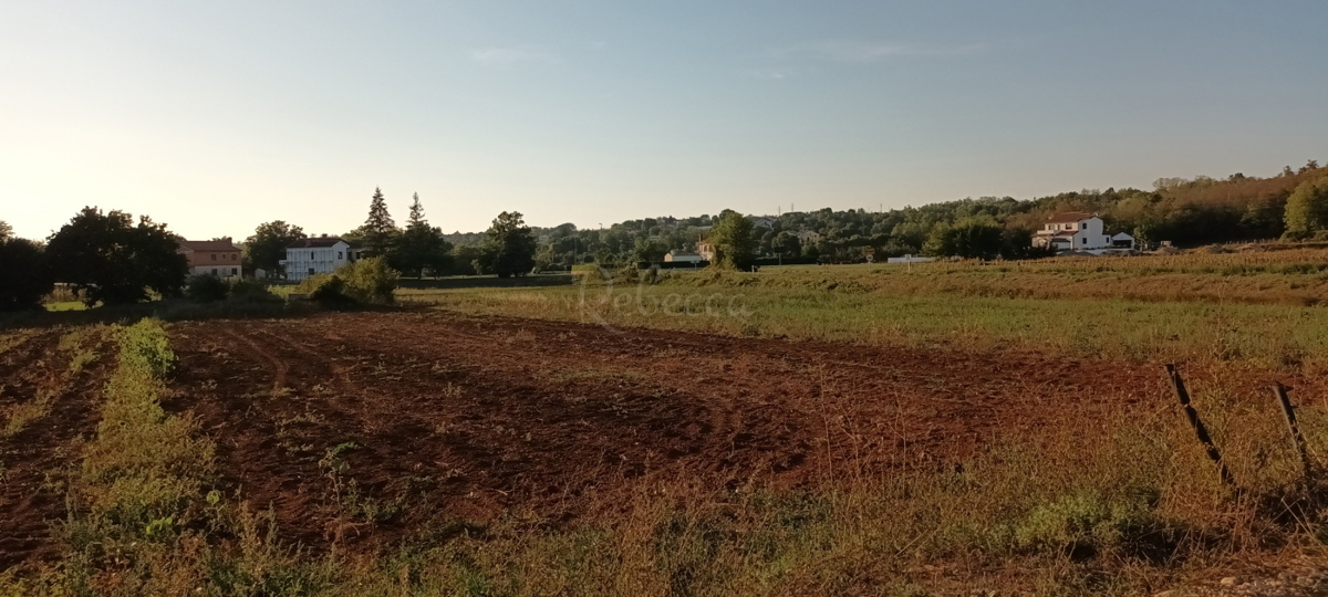 MOTOVUNSKI NOVAKI: TERRENO A DESTINAZIONE INDUSTRIALE 2357 m2