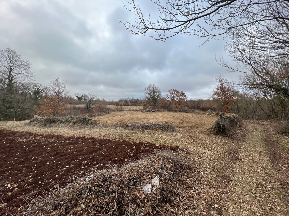 Gimino, dintorni, terreno edificabile, permesso di costruzione e progetto