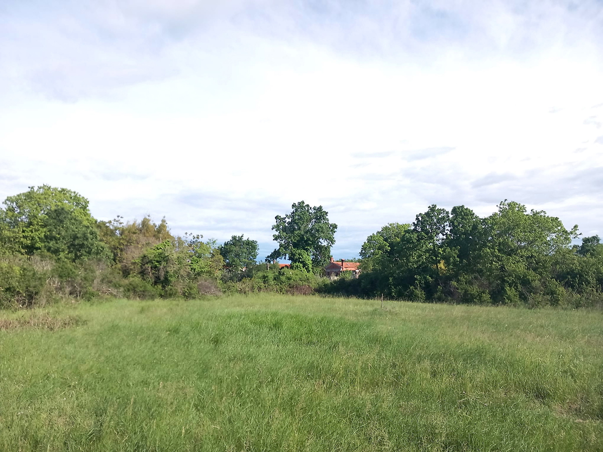 Due terreni edificabili 798 m2, più 800 m2 agricoli, Čabrunići