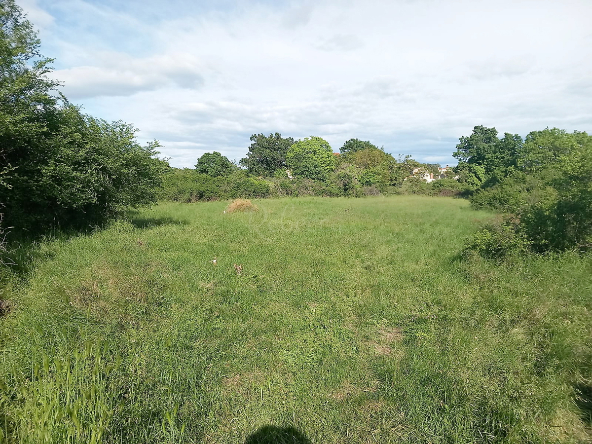 Due terreni edificabili 798 m2, più 800 m2 agricoli, Čabrunići