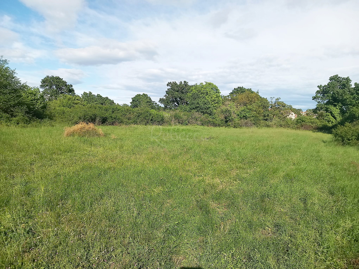 Due terreni edificabili 798 m2, più 800 m2 agricoli, Čabrunići