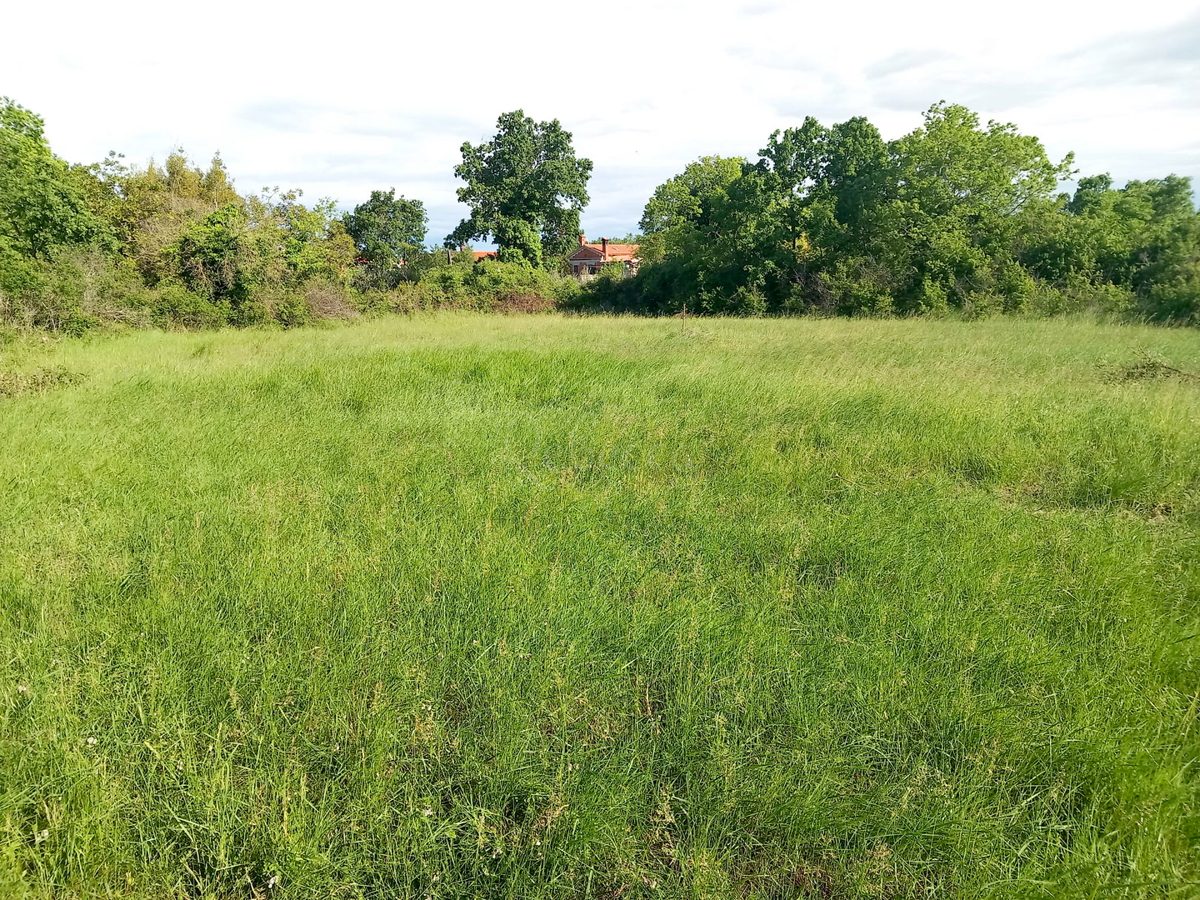 Due terreni edificabili 798 m2, più 800 m2 agricoli, Čabrunići