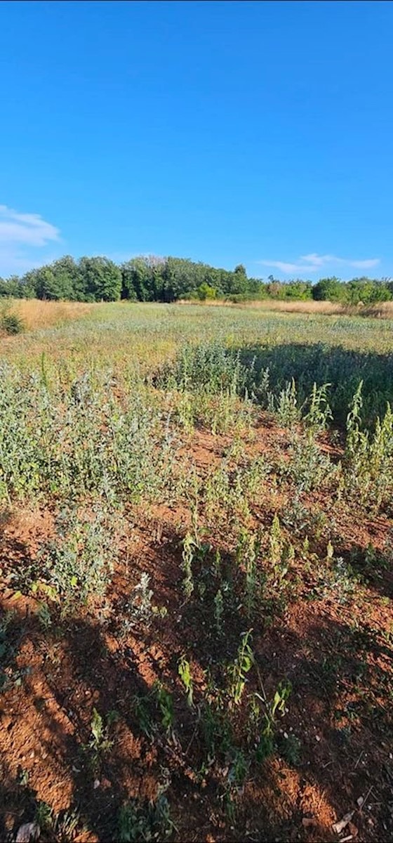 Terreno agricolo a Valdebek