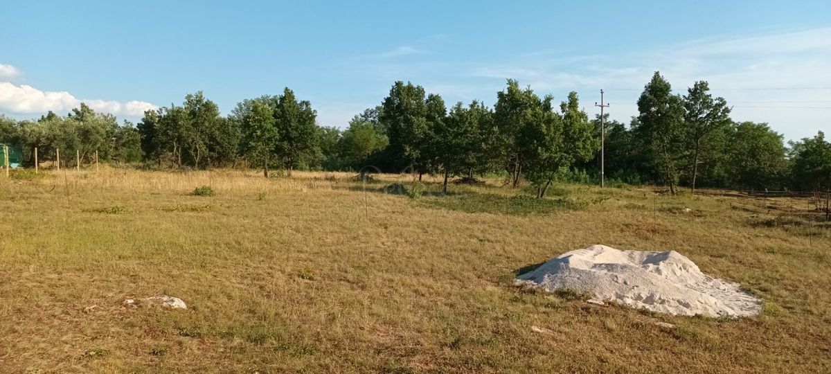 TERRENO AGRICOLO PARTICOLATO NEI DINTORNI DI BADERNA, 4547 mq