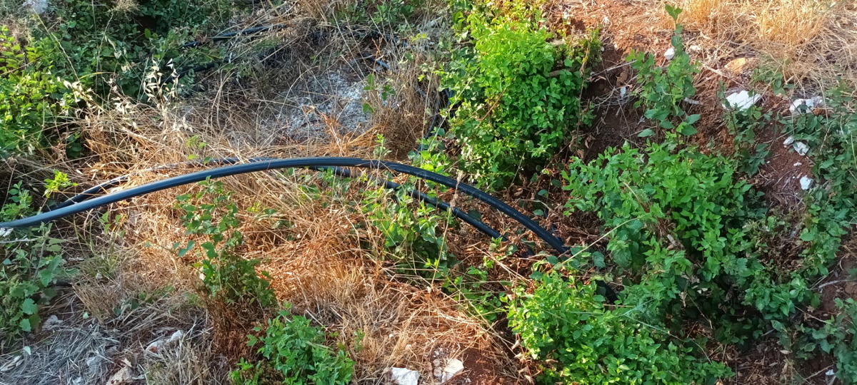 TERRENO AGRICOLO PARTICOLATO NEI DINTORNI DI BADERNA, 4547 mq