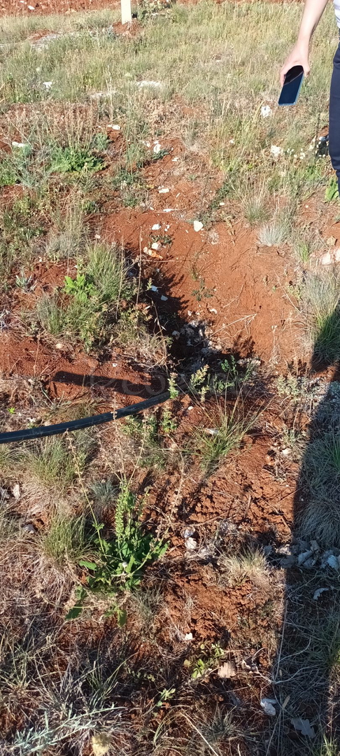 TERRENO AGRICOLO PARTICOLATO NEI DINTORNI DI BADERNA, 4547 mq