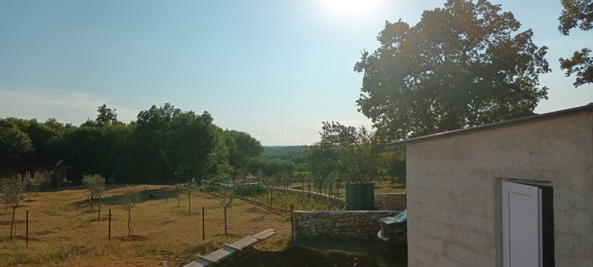 TERRENO AGRICOLO PARTICOLATO NEI DINTORNI DI BADERNA, 4547 mq