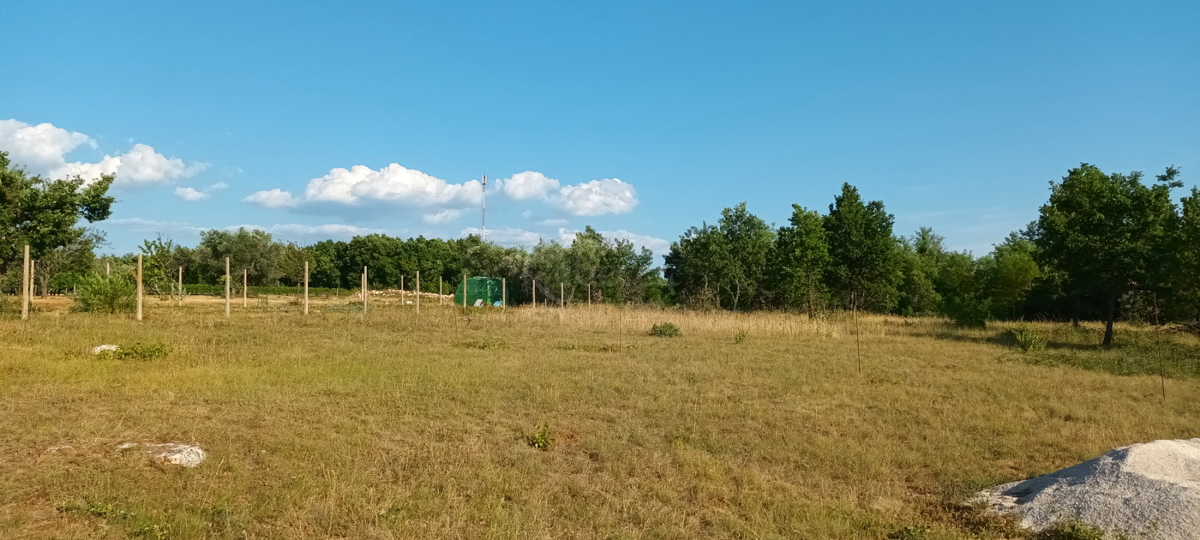 TERRENO AGRICOLO PARTICOLATO NEI DINTORNI DI BADERNA, 4547 mq