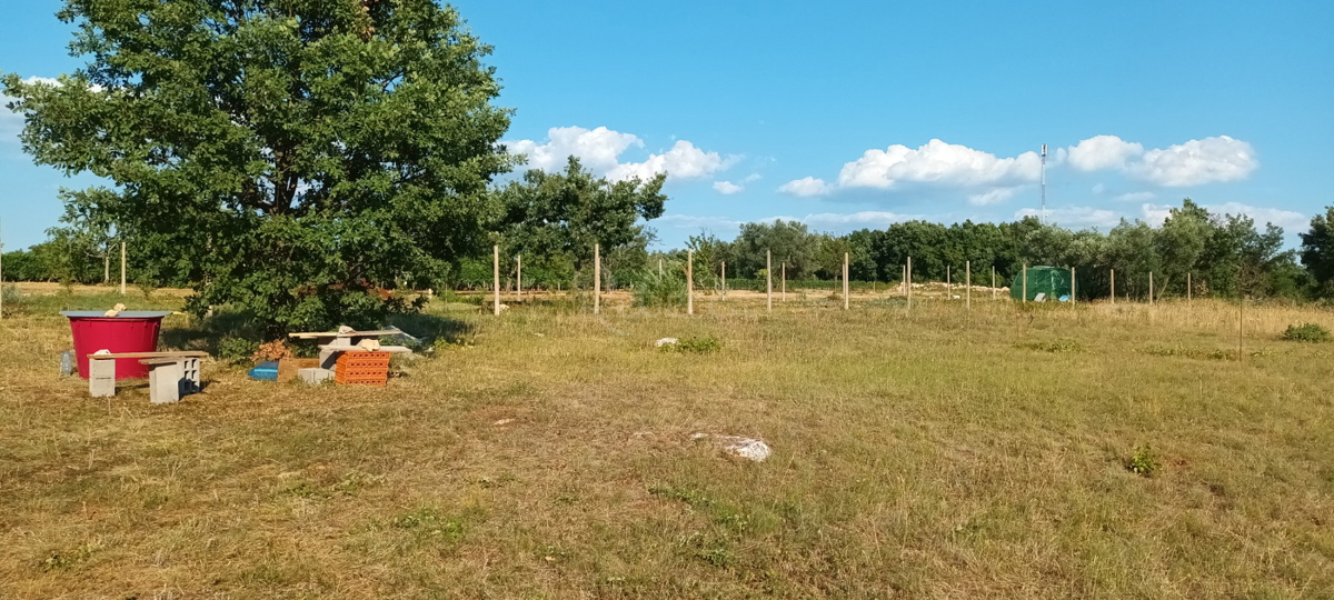 TERRENO AGRICOLO PARTICOLATO NEI DINTORNI DI BADERNA, 4547 mq