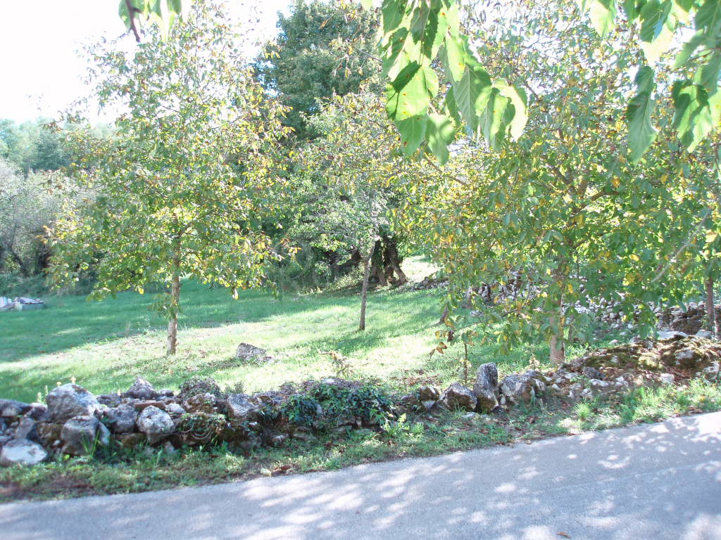 ISTRIA, LINDAR: VECCHIA CASA IN PIETRA D&apos;ISTRIA A FILA