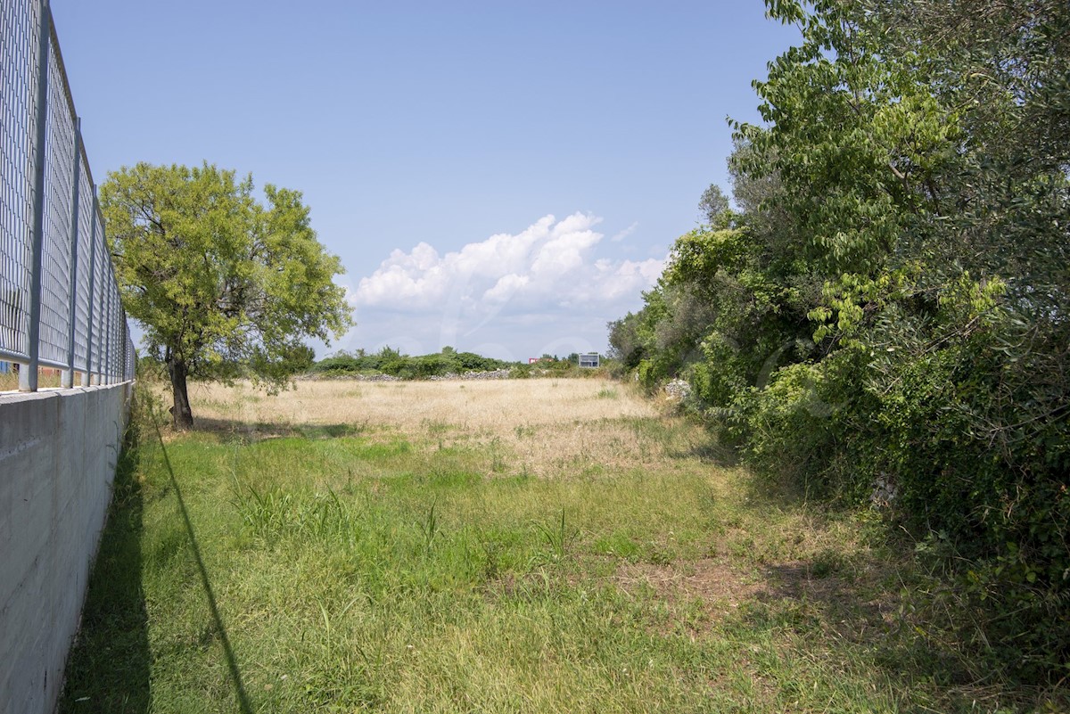 Terreno urbanizzato a Dignano