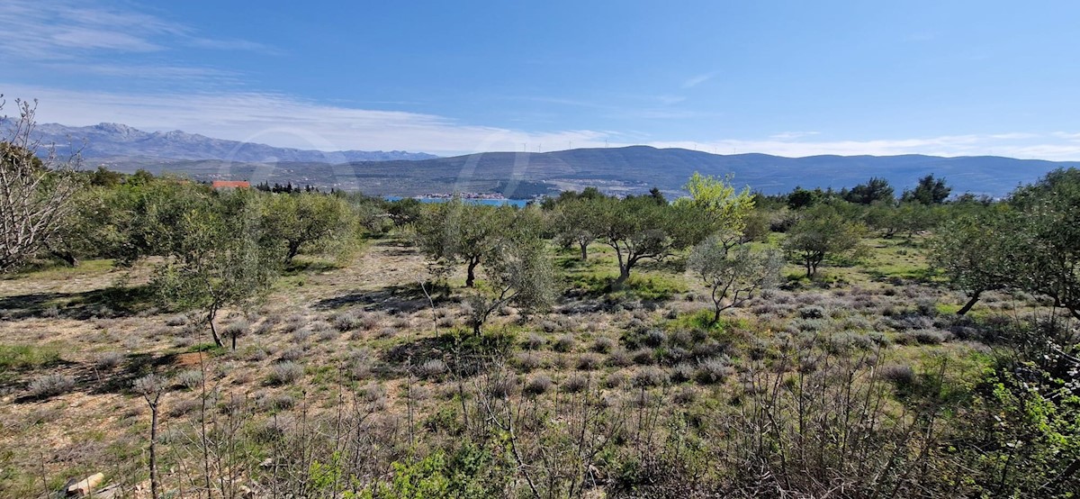 Zadar, Pridraga - bioedilizia (2800m2), vista mare!